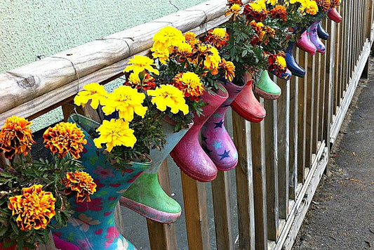 Gardening With Kids: Dirt, Drama, and Delayed Gratification